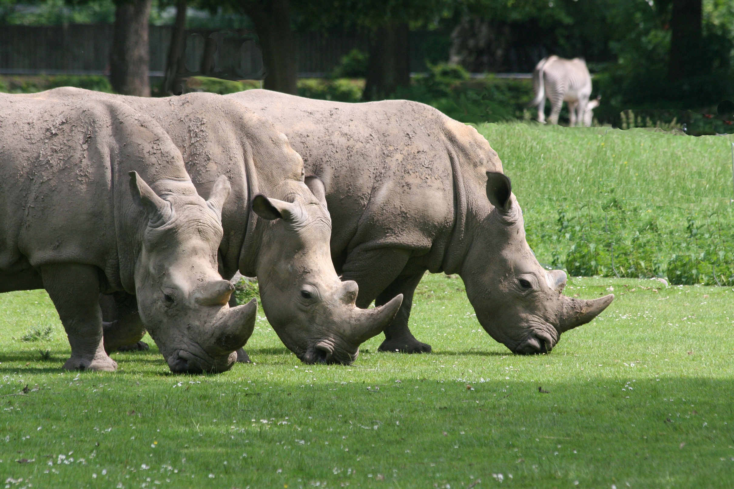 Zoo Augsburg: Freier Eintritt für Kinder am 24.12.